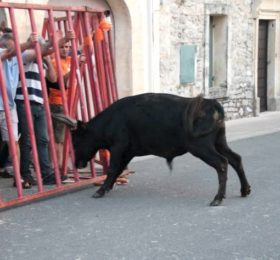 Fête votive