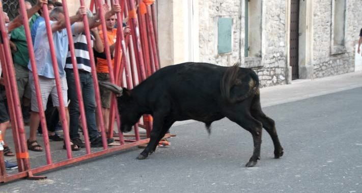 Fête votive