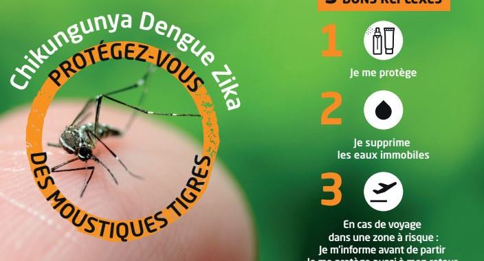 Moustique tigre Aedes albopictus et lutte anti-vectorielle