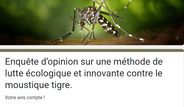 Lutte contre le moustique tigre - Site officiel de la ville de