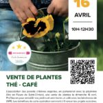 COMMANDEZ VOS PLANTES AVANT LE 11 AVRIL // APE