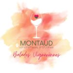 BALADE VIGNERONNE // SAMEDI 10 JUIN 2023 dès 18h30